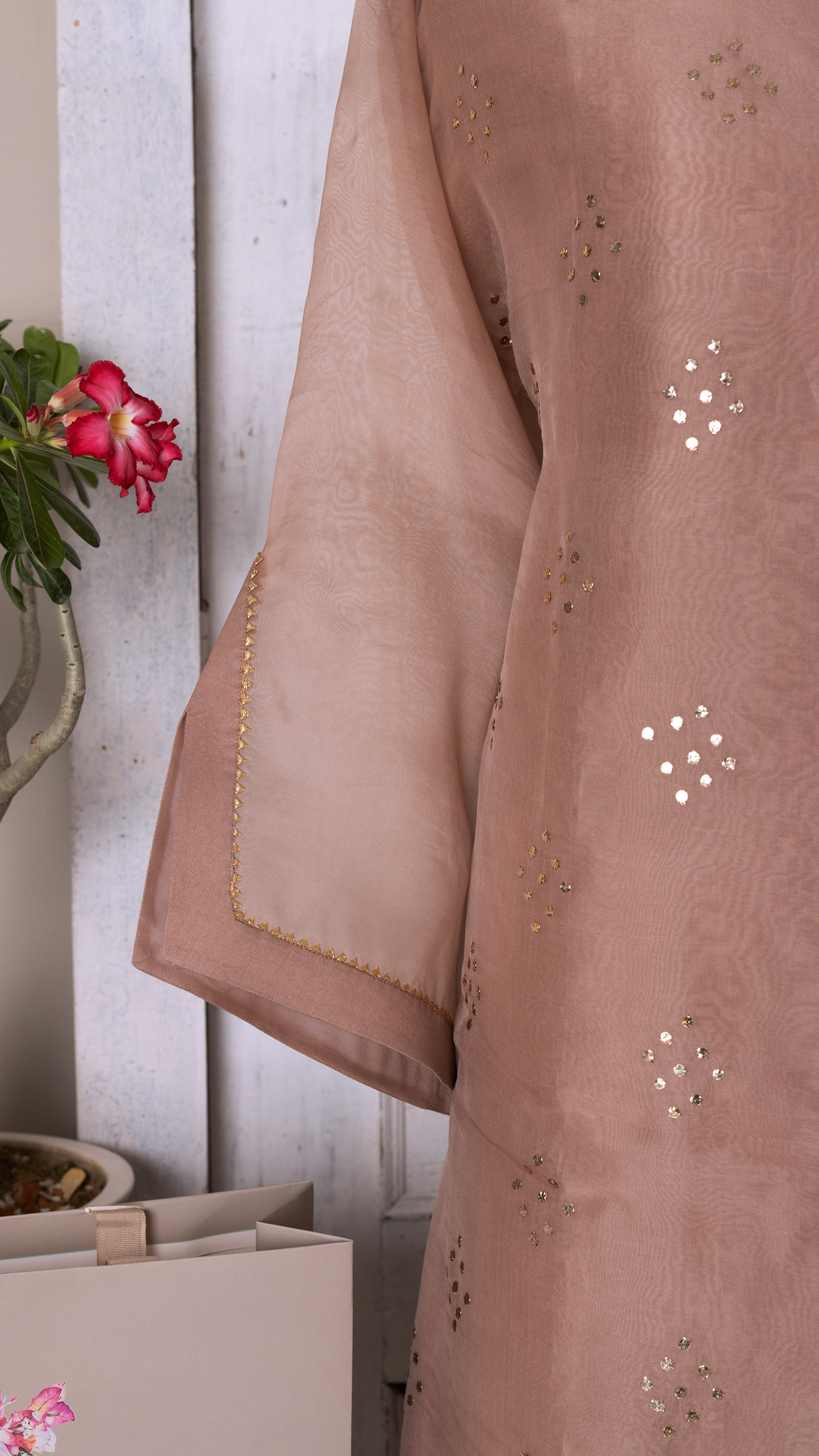 Stitched Beige Organza Suit Set with Mukesh and Chikankari