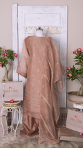 Beige Organza Suit Set with Mukesh and Chikankari