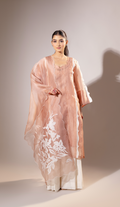 Taupe Textured Organza Suit with Ivory Lowers